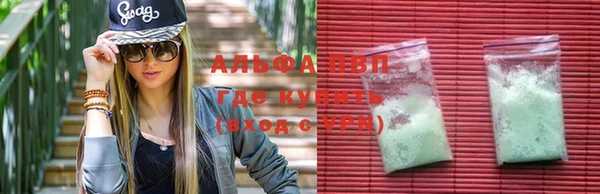 a pvp Бородино